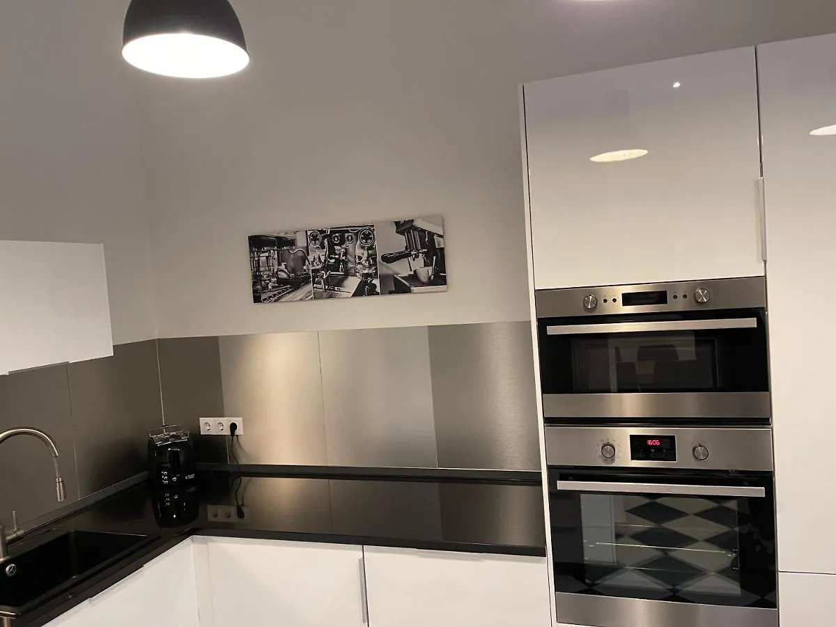 Walking Street Luxurious Huge Apartment Budapest Hungary