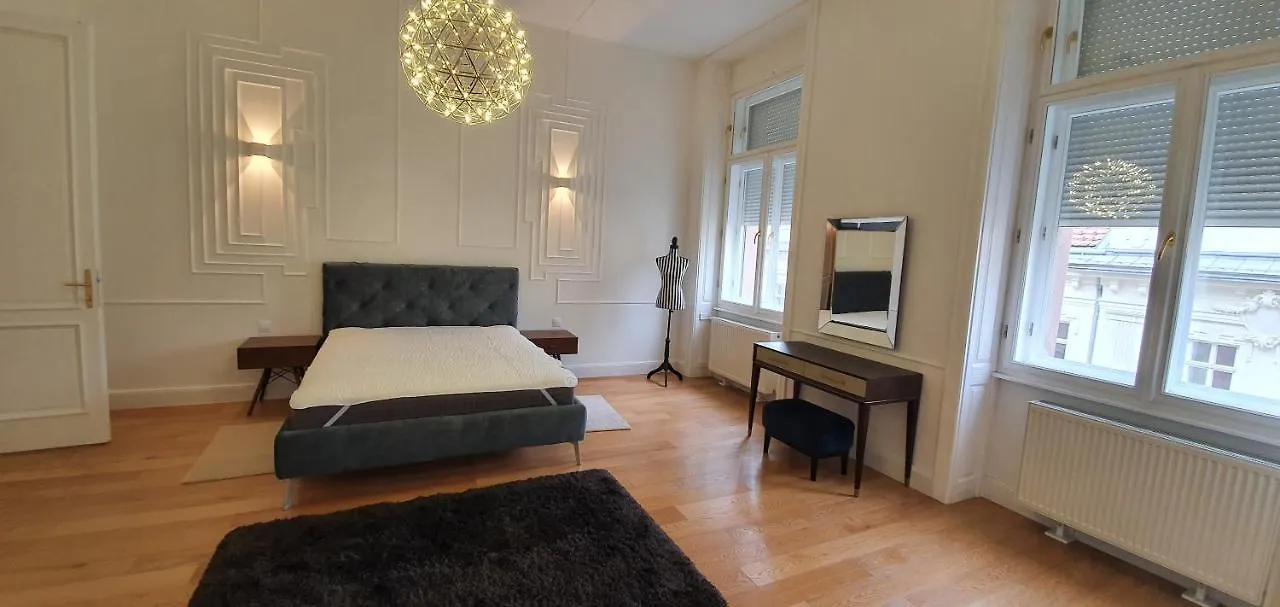 Walking Street Luxurious Huge Apartment Budapest