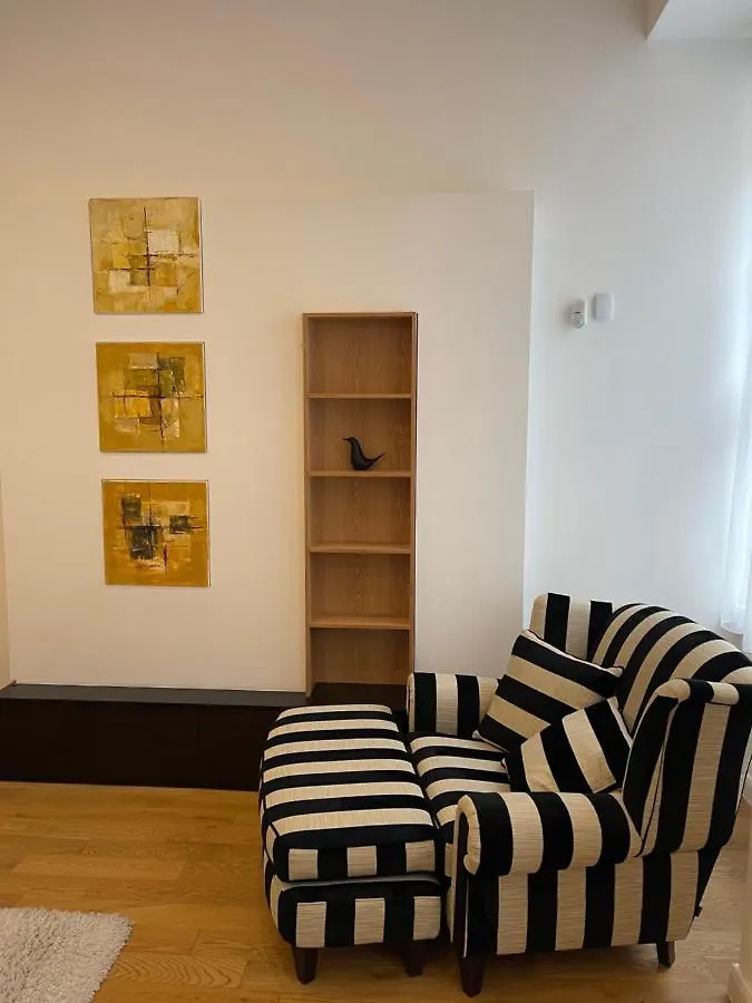Walking Street Luxurious Huge Apartment Budapest Hungary